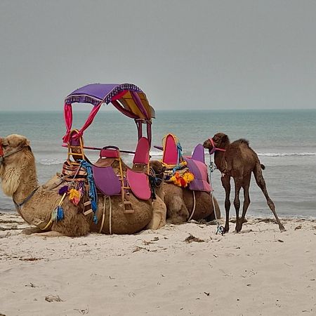 Отель Dar El Kahina Djerba Мезрая Экстерьер фото