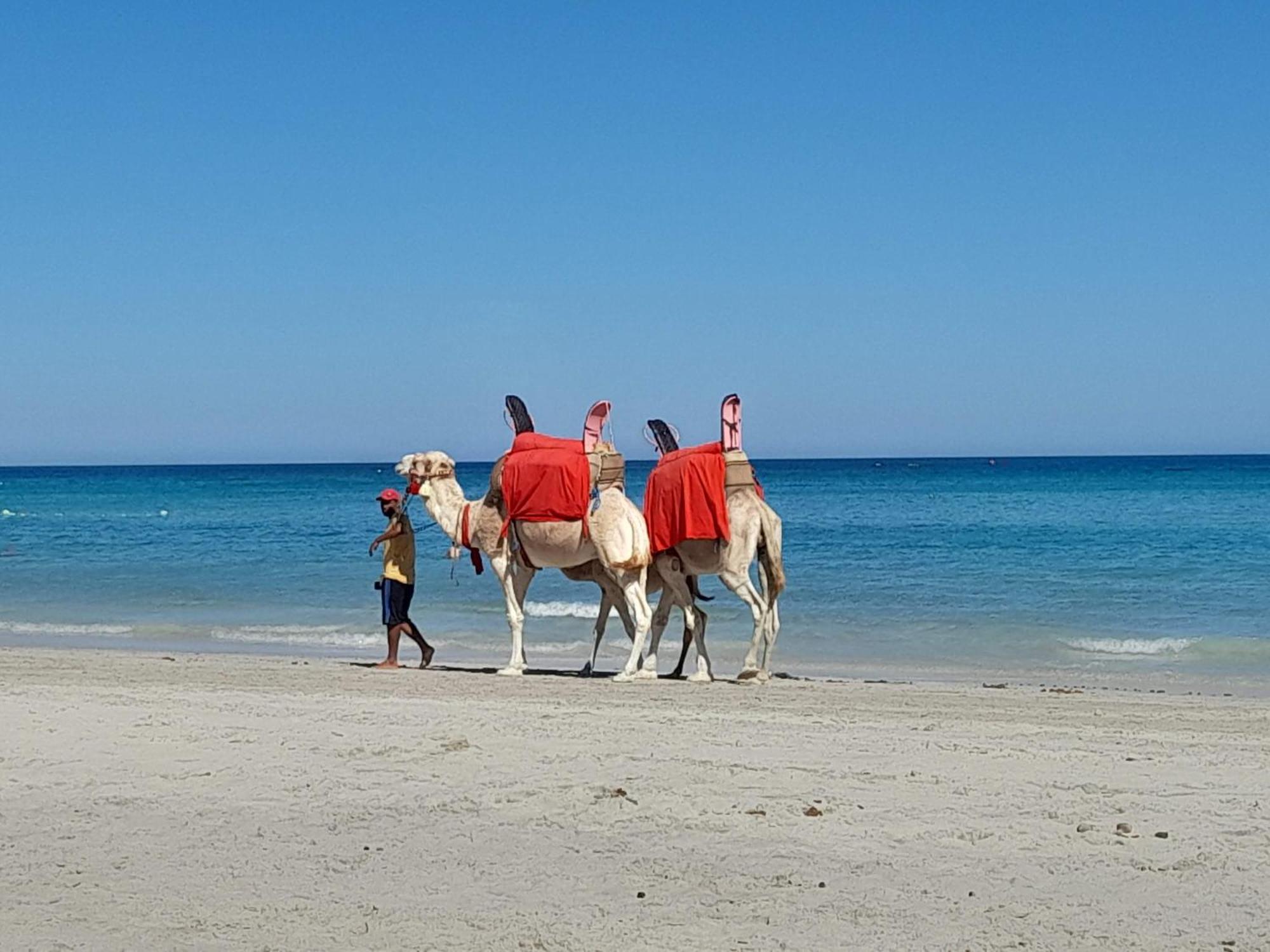 Отель Dar El Kahina Djerba Мезрая Экстерьер фото